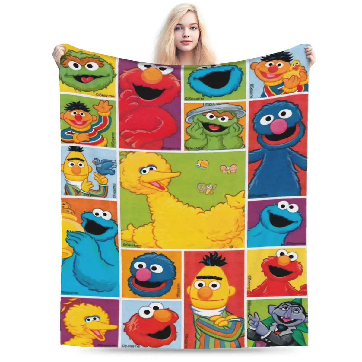 A colorful flannel throw blanket featuring characters from Sesame Street like Elmo and Friends.