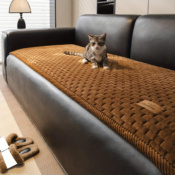 A tabby cat sits on a brown quilted sofa cover in a modern living room.