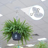 A potted fern hanging from a ceiling hook, demonstrating the heavy duty self-adhesive ceiling hooks set.