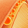Close-up cross-section of a lamb's wool fiber structure within a winter blanket material.