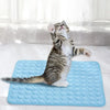 A fluffy tabby kitten is lying on a blue cooling ice mat indoors.