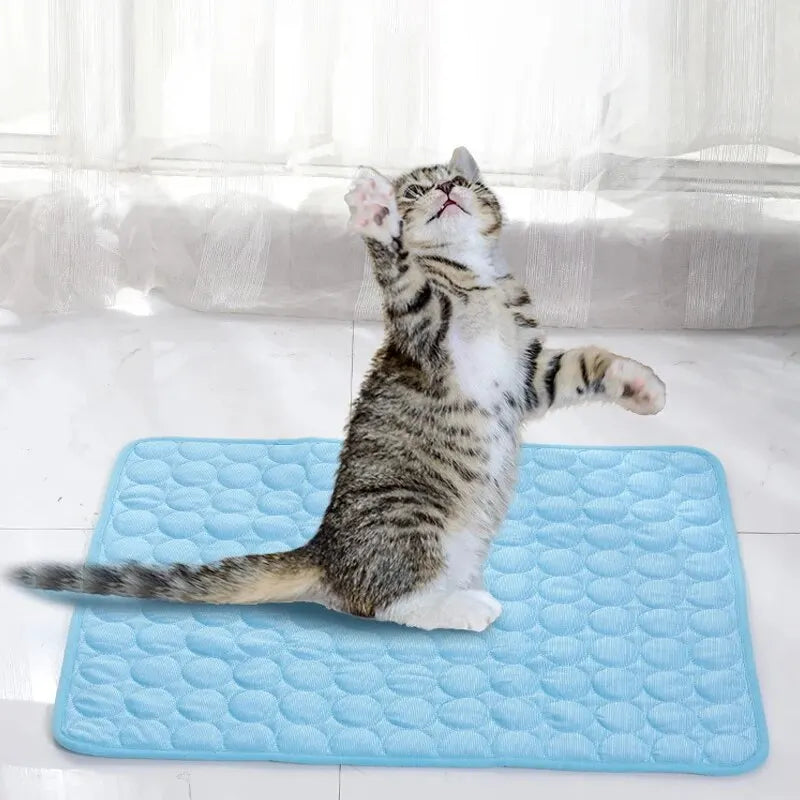 A fluffy tabby kitten is lying on a blue cooling ice mat indoors.